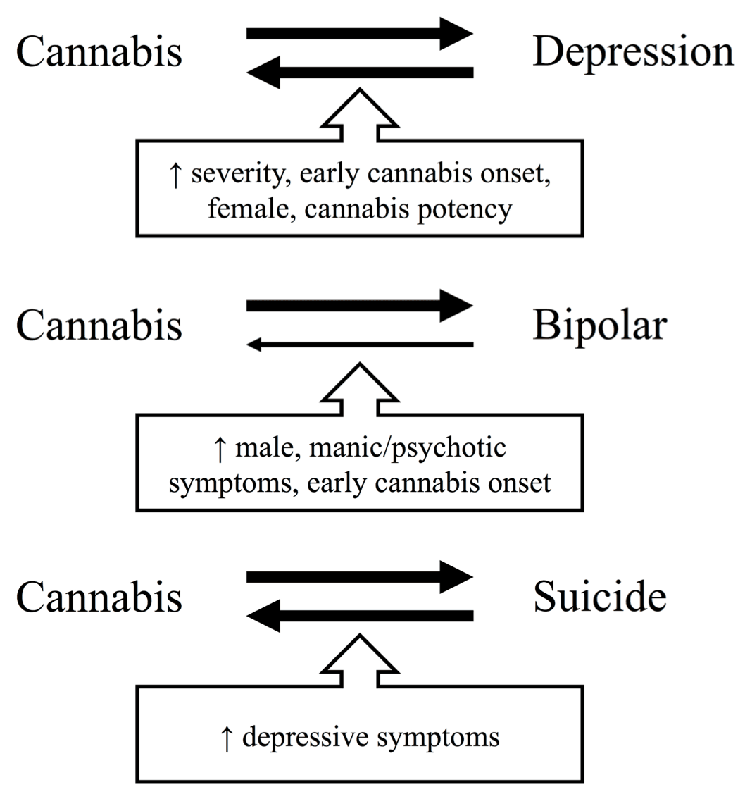 Figure 1. An overview of the direction of the associations between cannabis use and depression, BD, and suicide with potential moderators of the associations listed in the text boxes.
