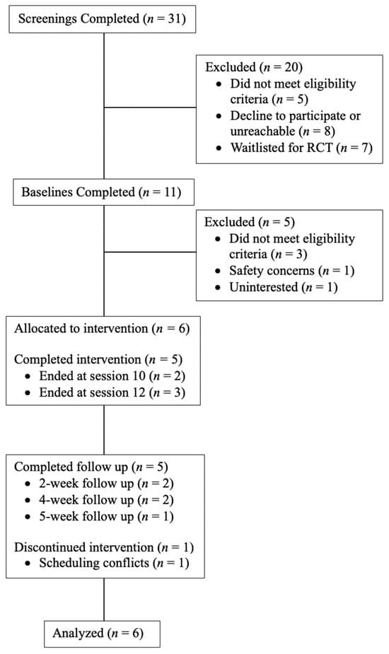 Figure 1. Consort Flow diagram