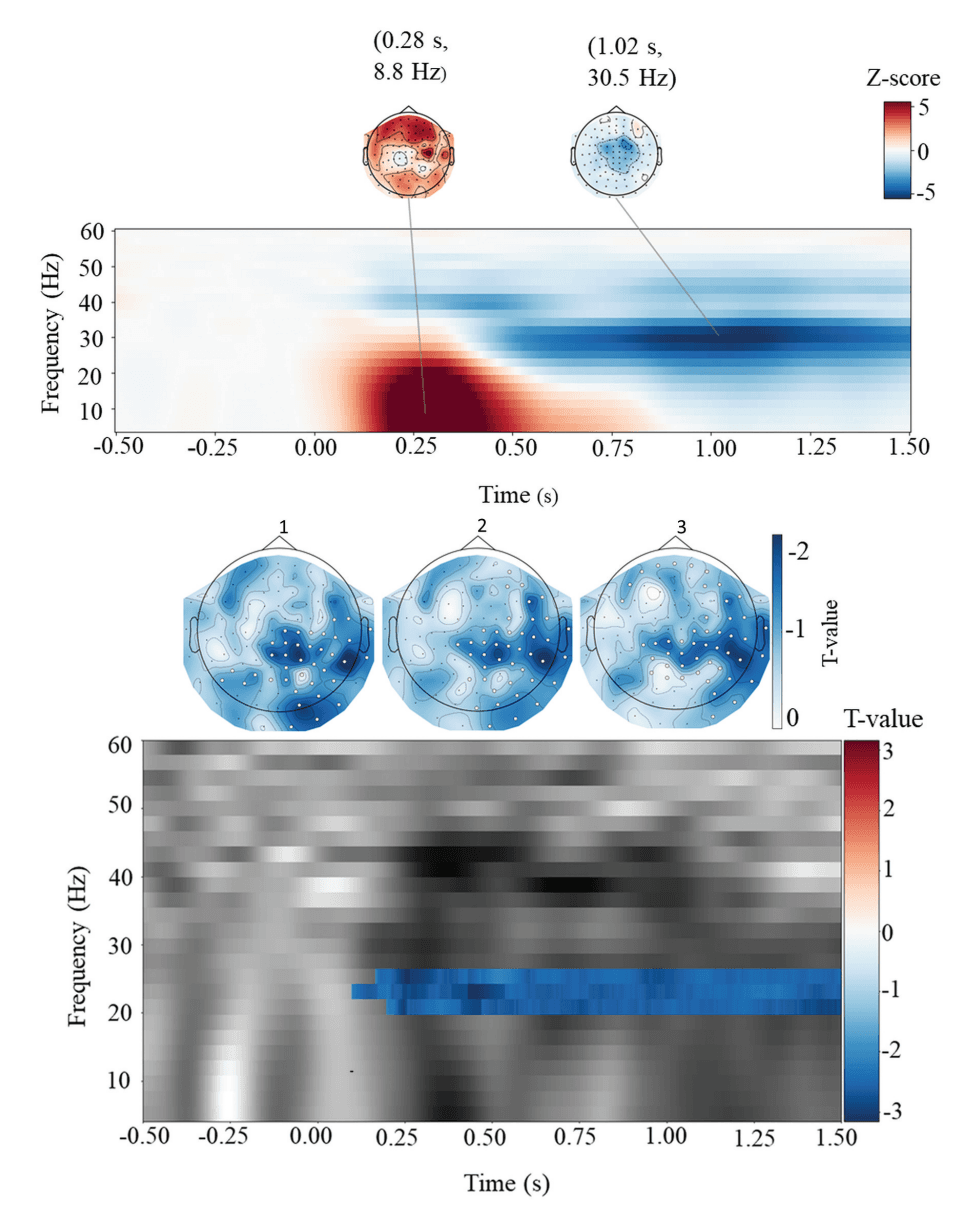 Screenshot 2025-01-13 at 11.19.13