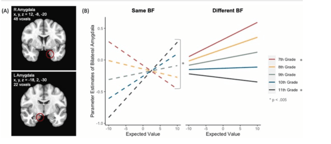 Screenshot 2025-02-10 at 09.06.06