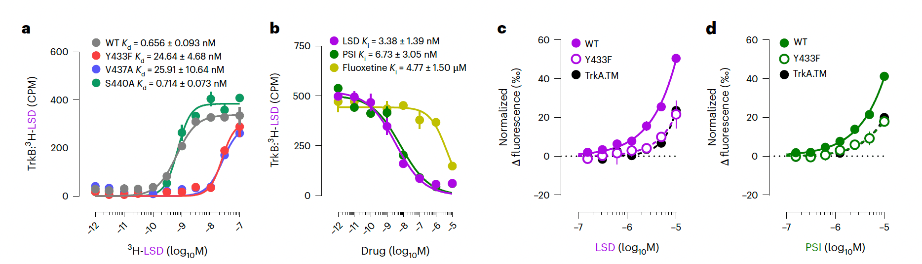 Fig. 1: Psychedelics bind to TrkB.