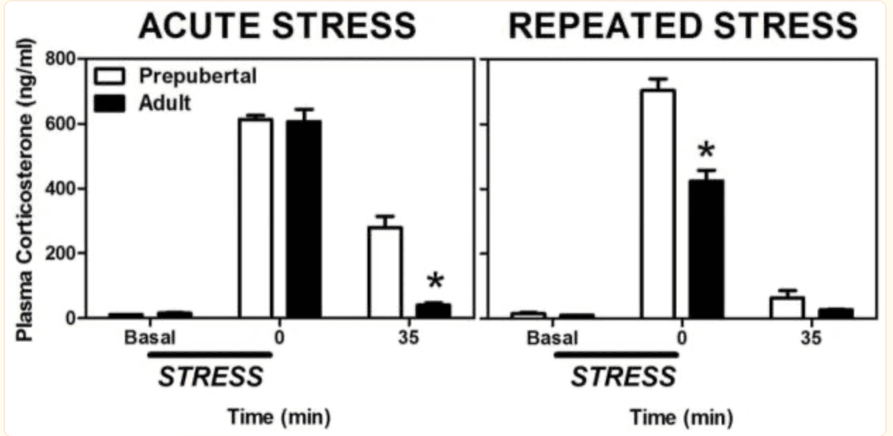 Screenshot 2024-06-05 at 9.59.27 PM