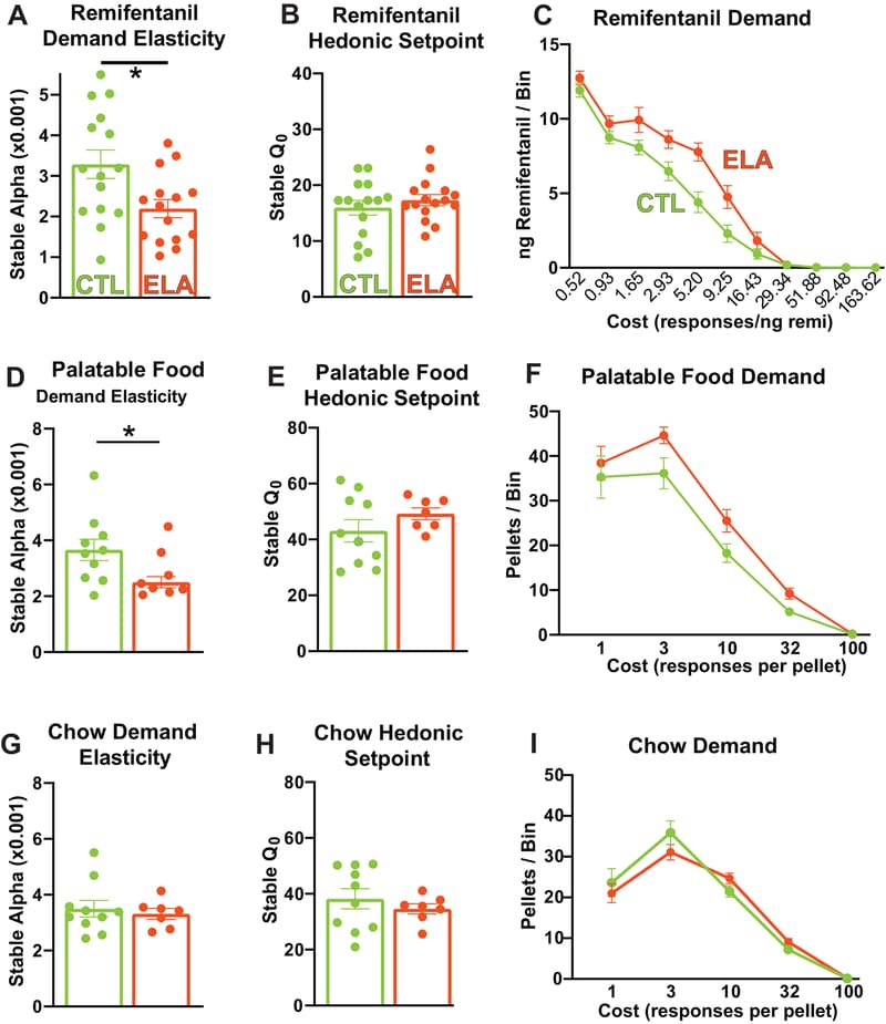 Figure 2: Early-Life Adversity Increases Demand for Opioids and Highly Palatable Food