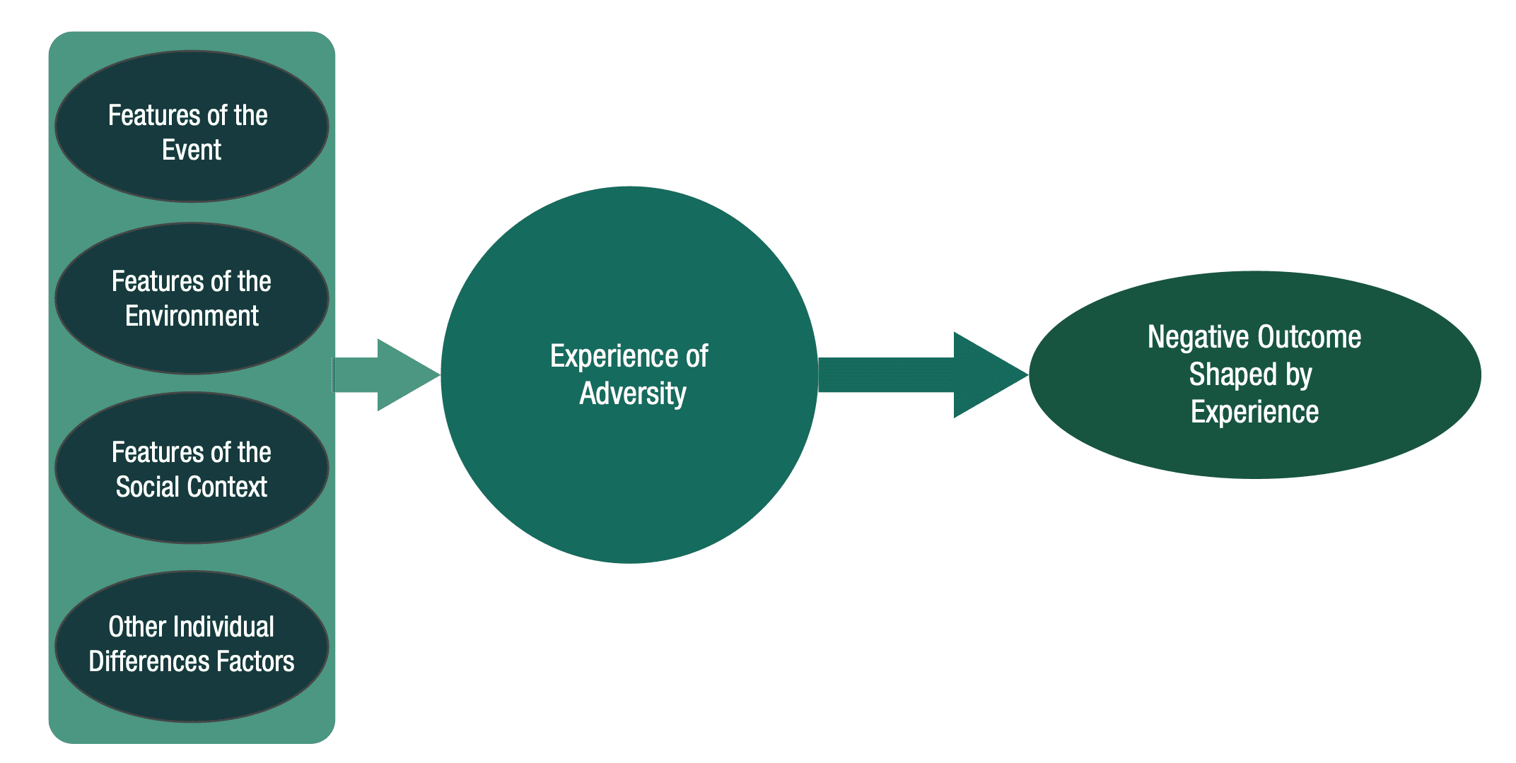 Screenshot 2024-06-03 at 11.26.05 AM