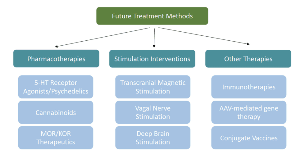 Figure 3. Novel interventions that are currently being investigated as potential treatments for shifting opioid choice.