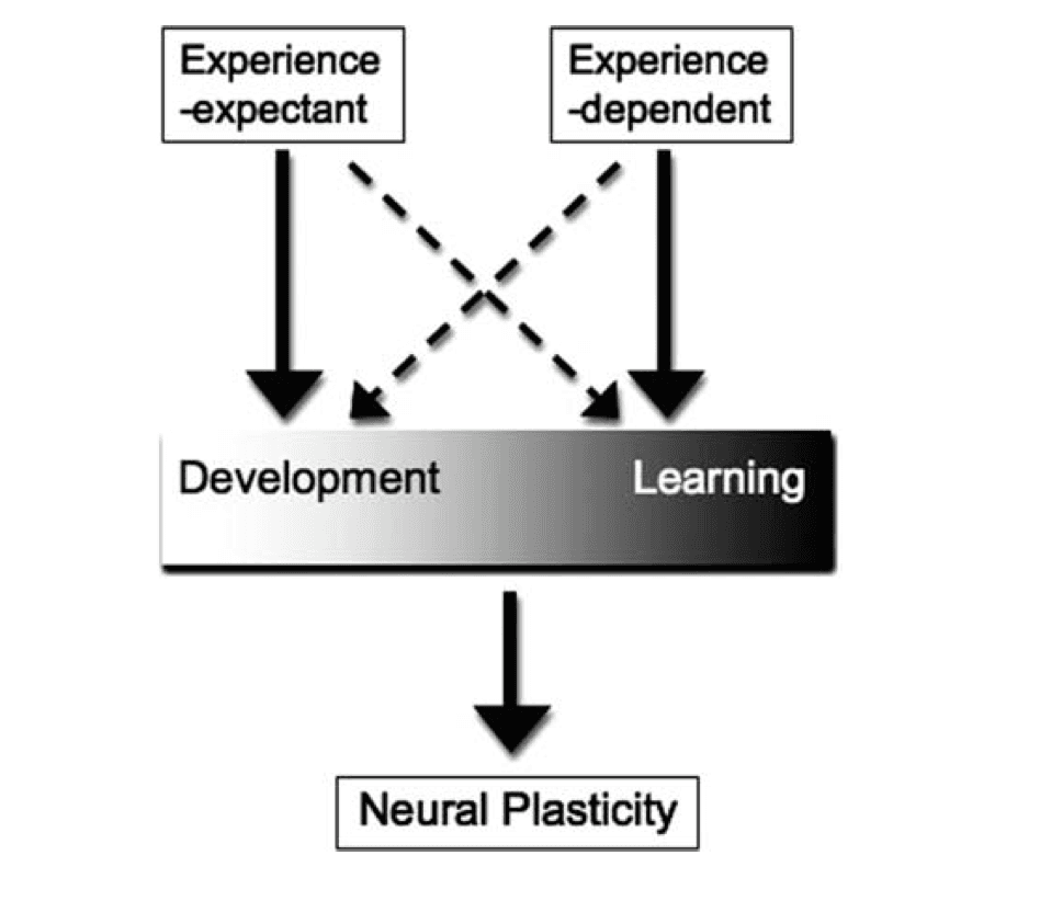 Screenshot 2024-06-03 at 3.45.32 PM