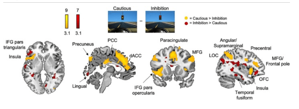 Screenshot 2025-03-30 at 15.04.38