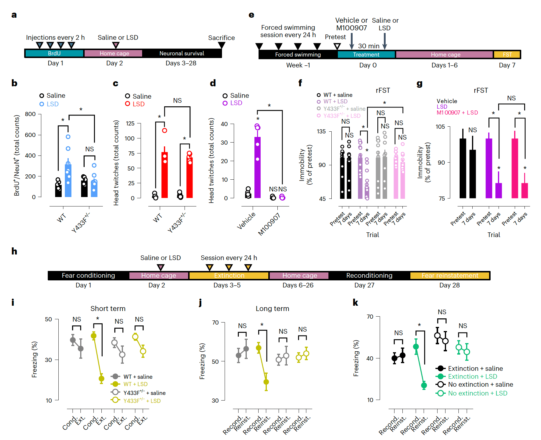 Fig. 7: TrkB mediates plasticity-related and antidepressant-like effects of LSD on neuronal networks and behavior.