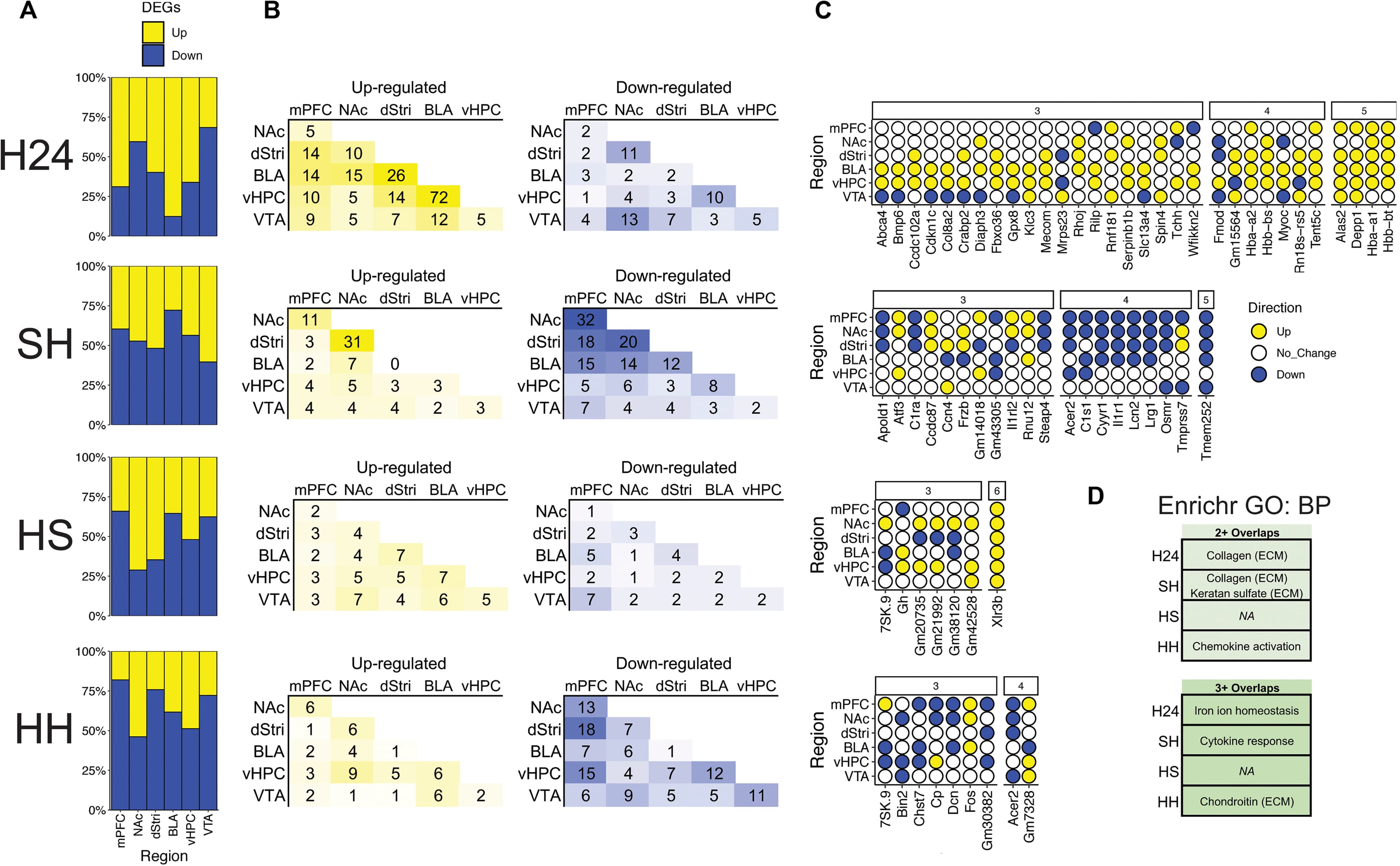 Fig. 2. Heroin drives coordinated transcriptional patterning across brain reward regions that shifts with abstinence after a history of intake.