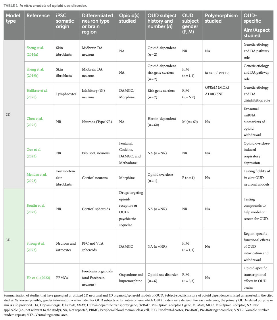 TABLE 1 In vitro models of opioid use disorder.