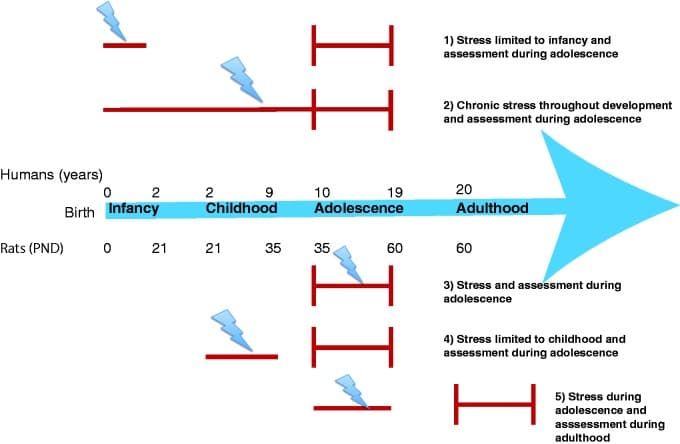 10.1177 2470547017715645-fig1
