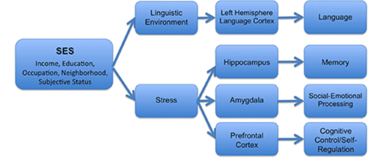 Screenshot 2024-06-04 at 9.55.43 PM