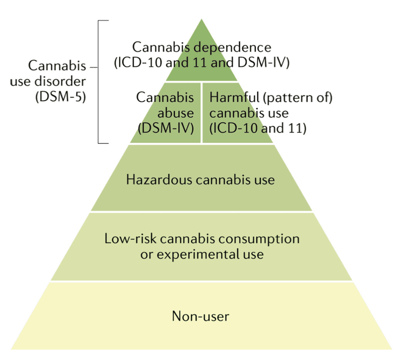 Fig. 6. The hierarchy of substance use disorders across diagnostic systems.