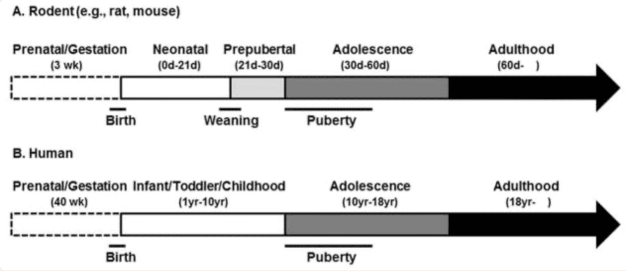 Screenshot 2024-06-05 at 9.58.22 PM