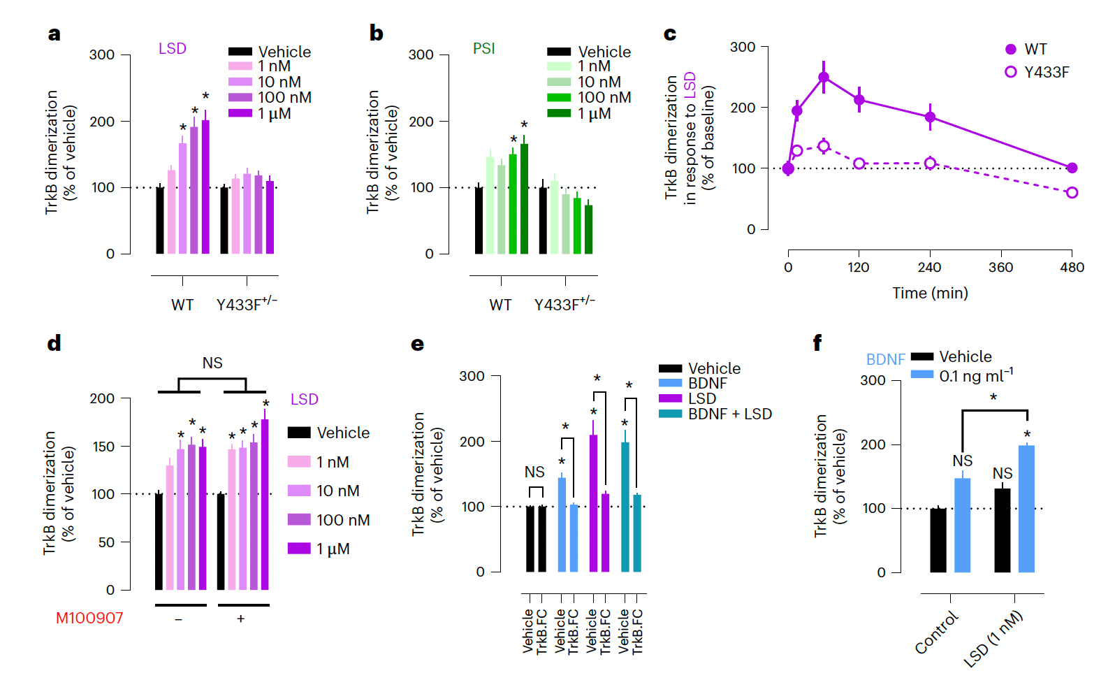 Fig. 4: Psychedelics promote TrkB dimerization.