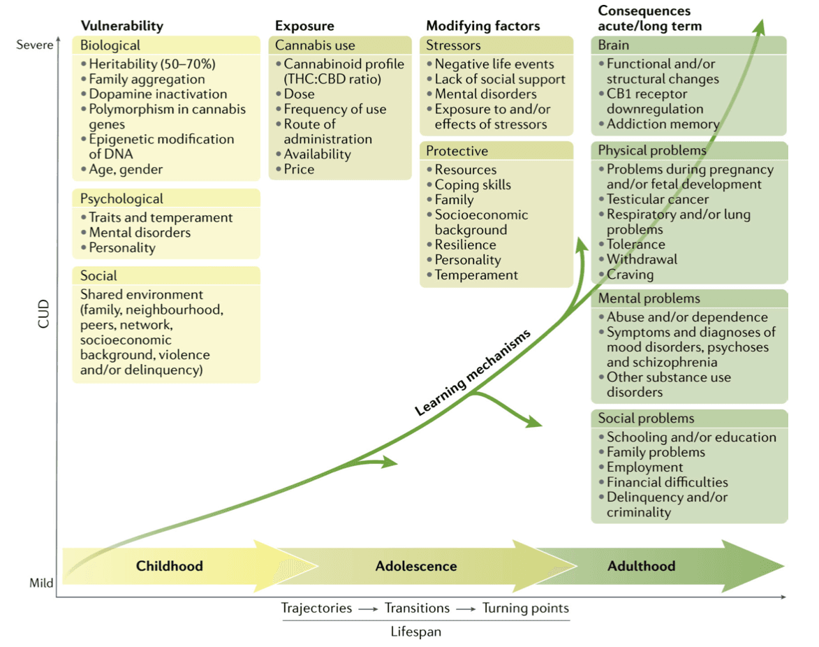 Fig. 5. A multifactorial model for cannabis use disorders.