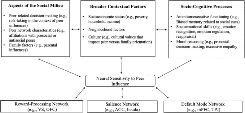 1-s2.0-S1878929324000562-gr1