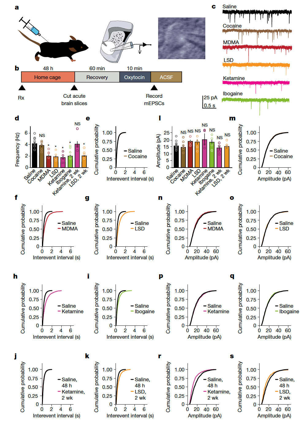 Fig. 4: Psychedelics induce metaplasticity.