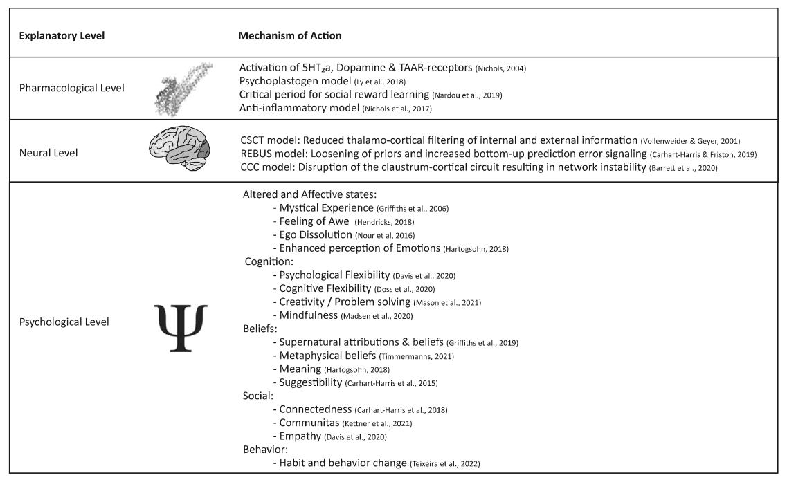 Fig. 1. Different levels of analysis that specify the pharmacological (upper panel), neural (middle) and psychological (lower panel) mechanisms through which psychedelics exert their effects.