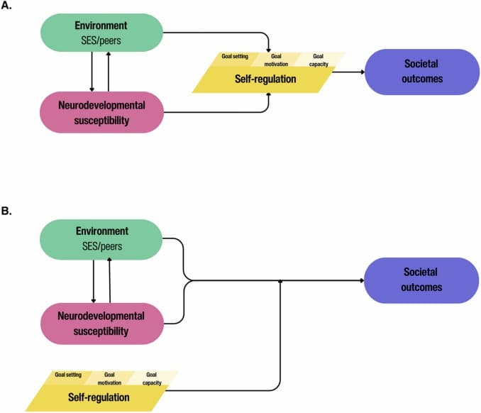 1-s2.0-S1878929324000641-gr1