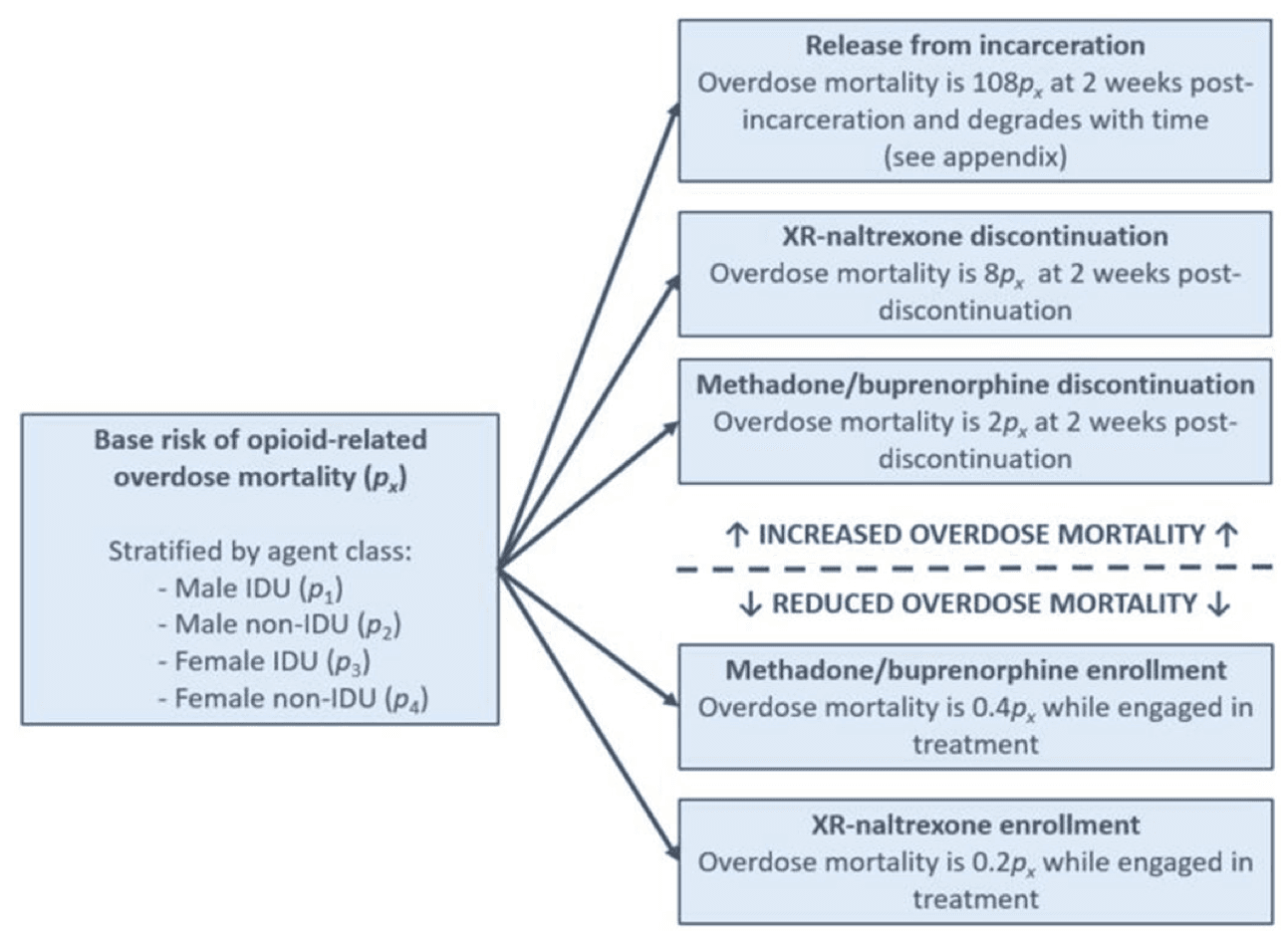 Figure 2. Influence of dynamic agent states on base risk of opioid-related overdose mortality across agent classes