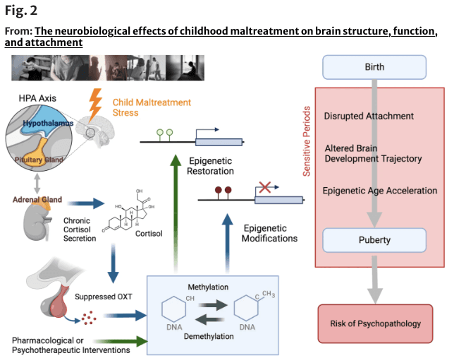 Screenshot 2024-11-01 at 22.26.07