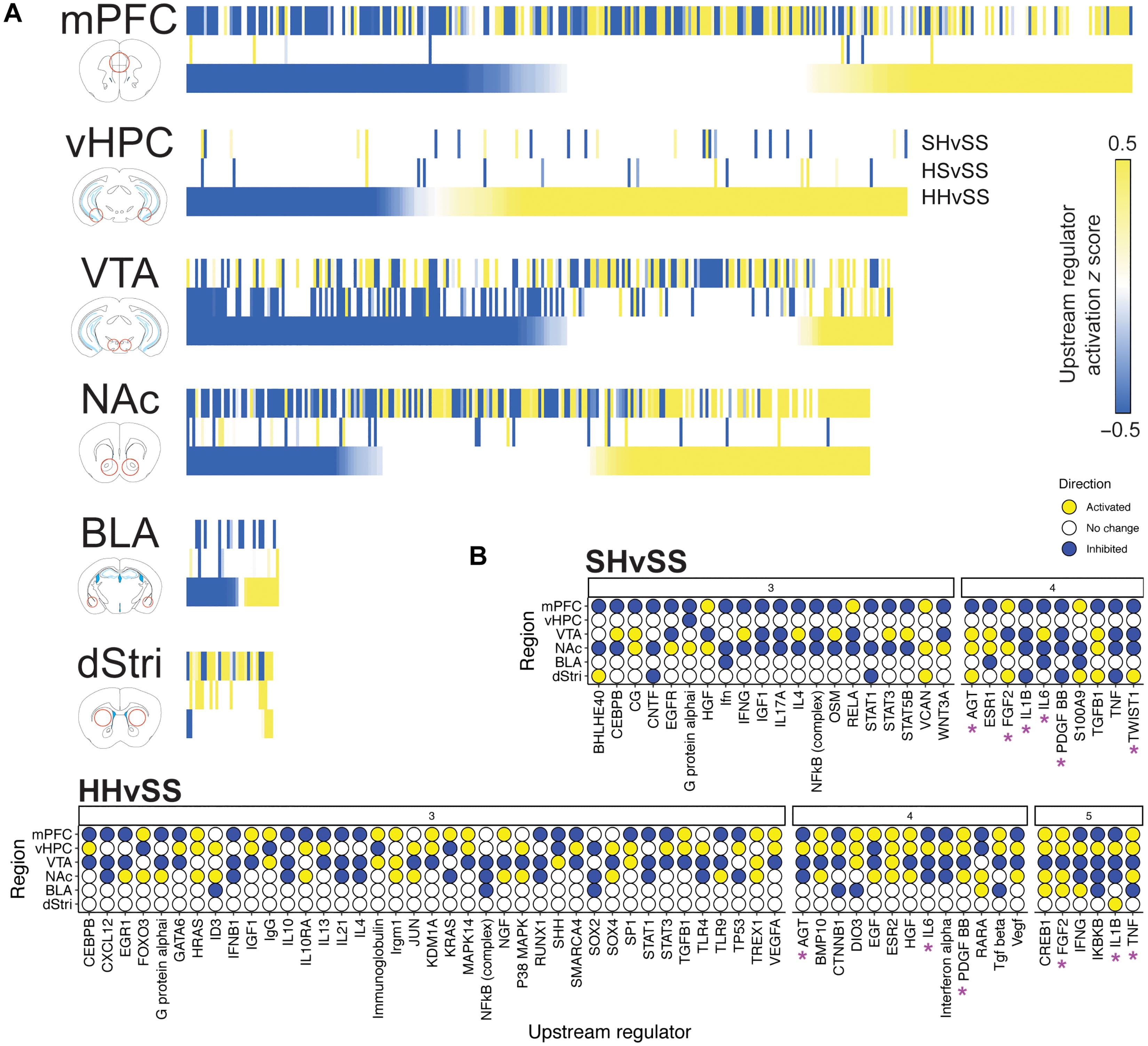 Fig. 6. Upstream regulators coordinate distinct components of relapse-related processes in a region-specific manner.