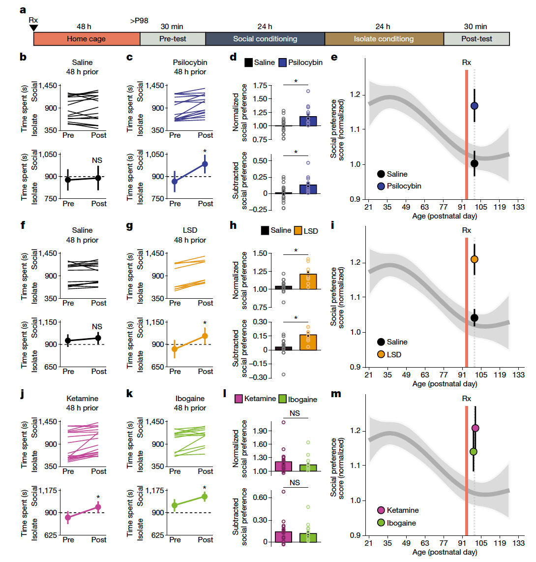 Fig. 1: Psychedelics reopen the social reward learning critical period.