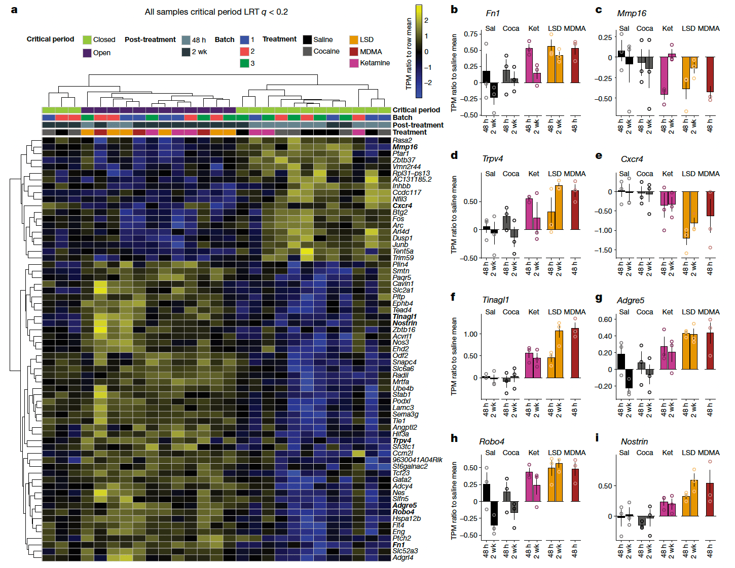 Fig. 5: Characteristic changes in transcription induced by psychedelics.