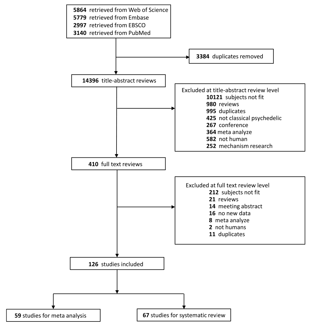 Fig. 1. Study selection