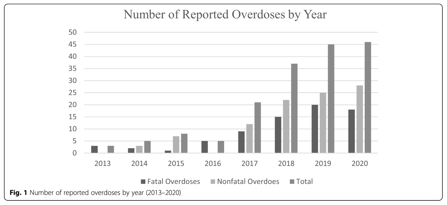 Fig. 1. Number of reported overdoses by year (2013–2020)