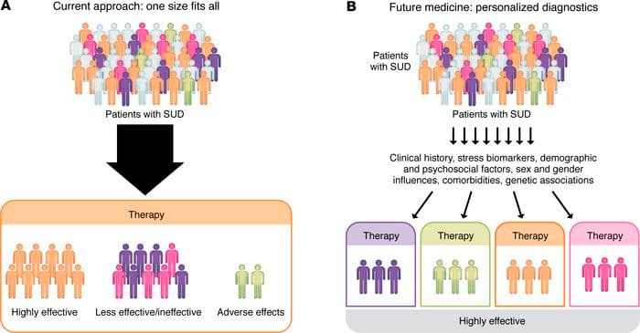 Figure 4. Incorporating stress response into personalized therapeutic development for SUDs.