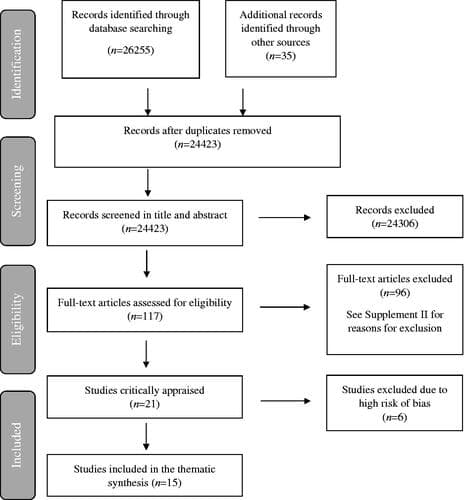 Figure 1. The PRISMA flow diagram.