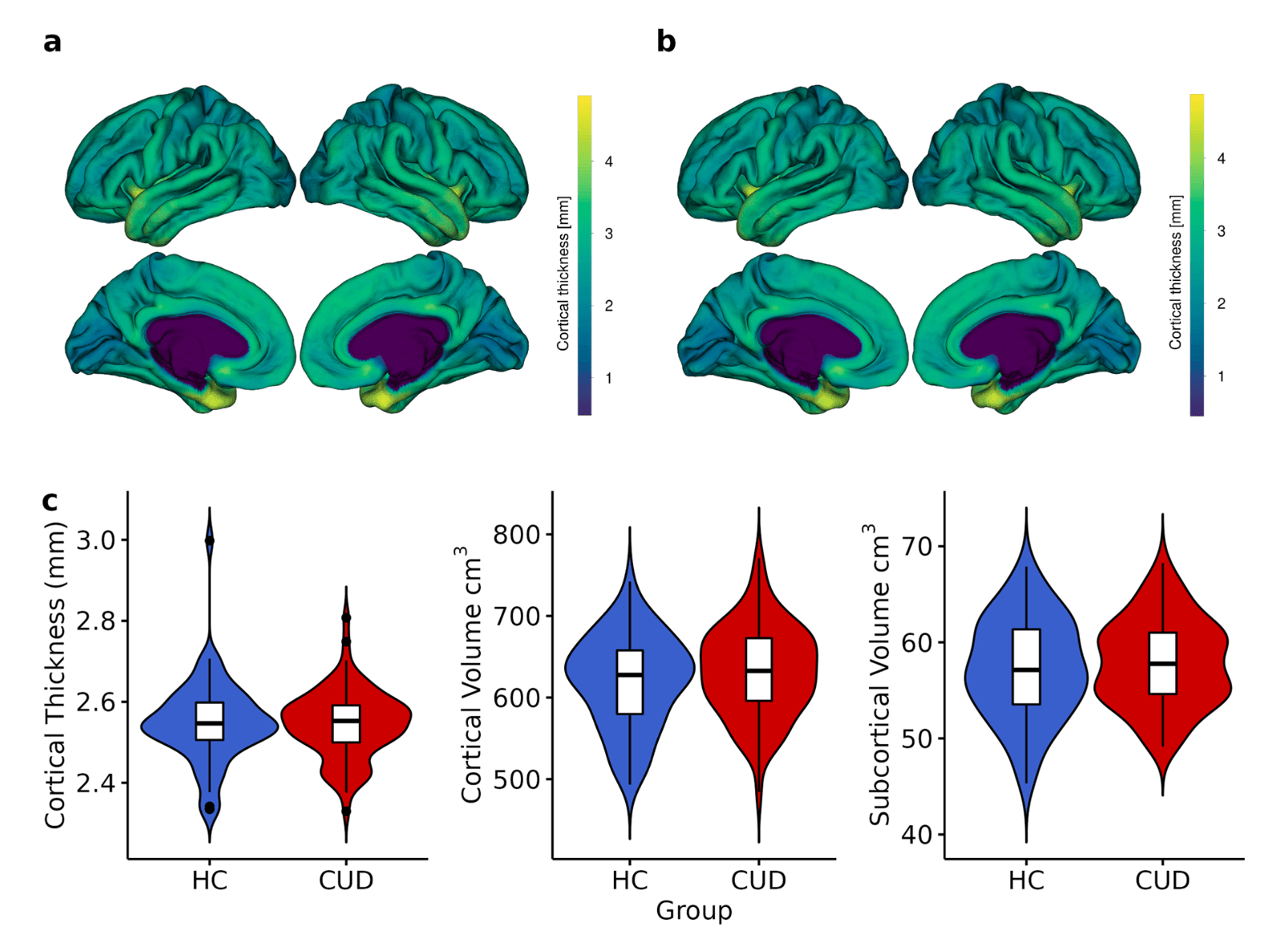 Fig. 1 . Anatomical MRI metrics for each group. Mean cortical thickness of (a) Healthy Control (HC), and (b) Cocaine Use Disorder (CUD) group. (c) Cortical Thickness (mm) and Volume (cm3) extracted for each group.