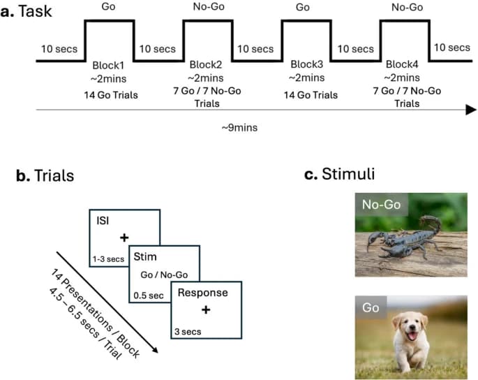 Fig 1. Affective Go/No-Go Task