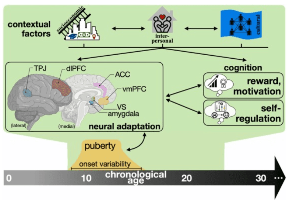 Screenshot 2025-07-01 at 22.35.15