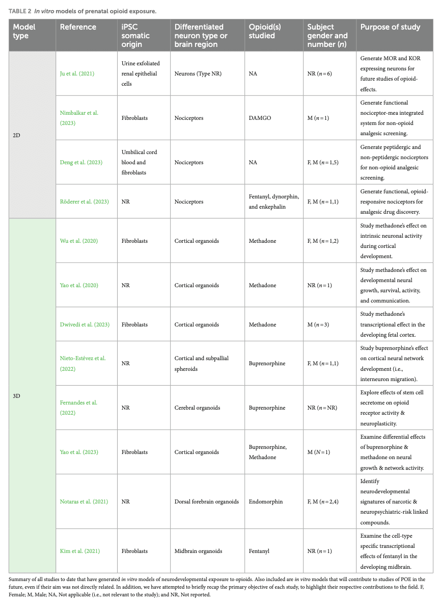 TABLE 2 In vitro models of prenatal opioid exposure.