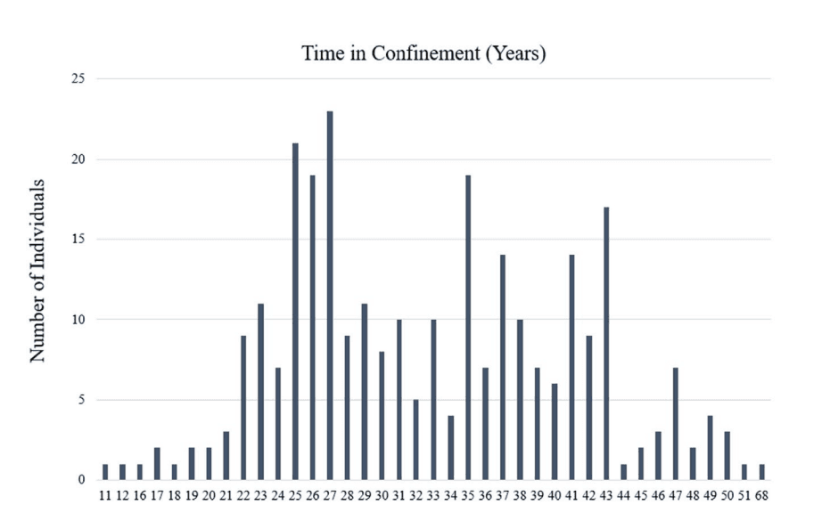 Screenshot 2025-03-19 at 20.23.16