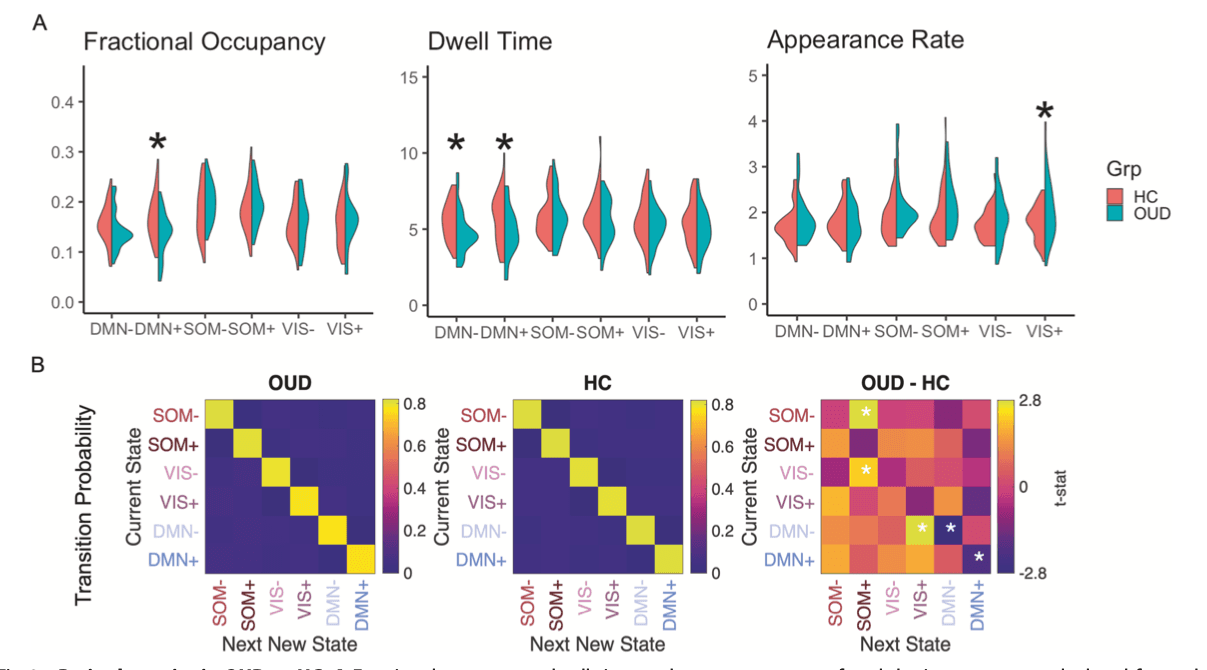 Fig. 2. Brain dynamics in OUD vs HC.