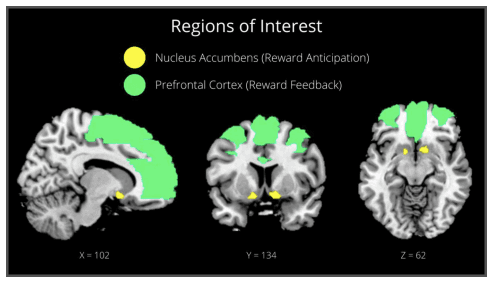 Screenshot 2024-08-22 at 23.32.52