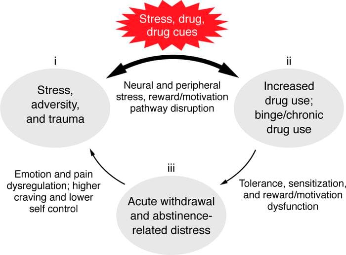 Figure 3. Maladaptive alterations to the adaptive stress response.
