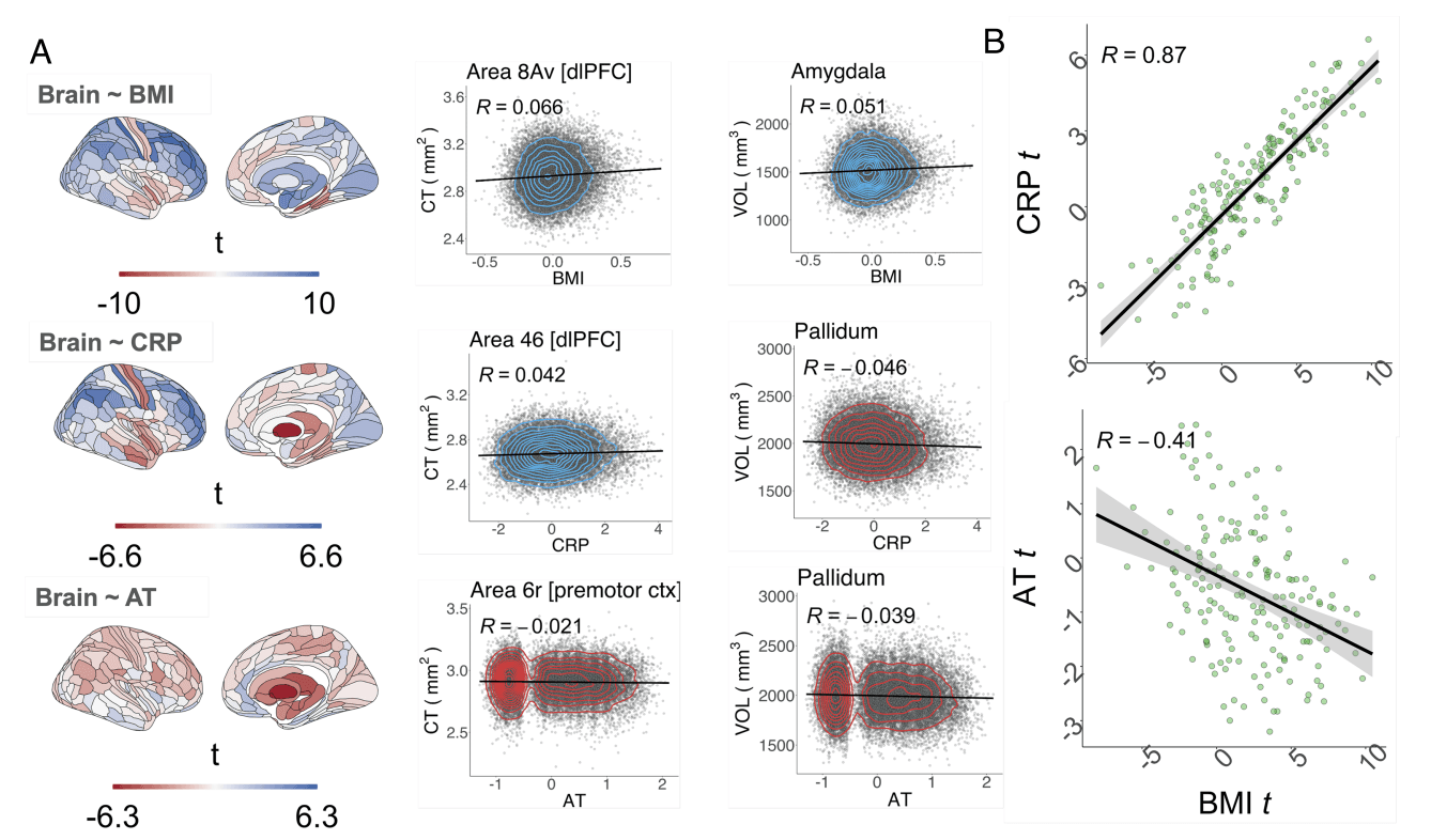 Screenshot 2025-06-17 at 22.31.15