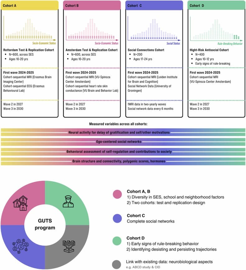 1-s2.0-S1878929324000641-gr2